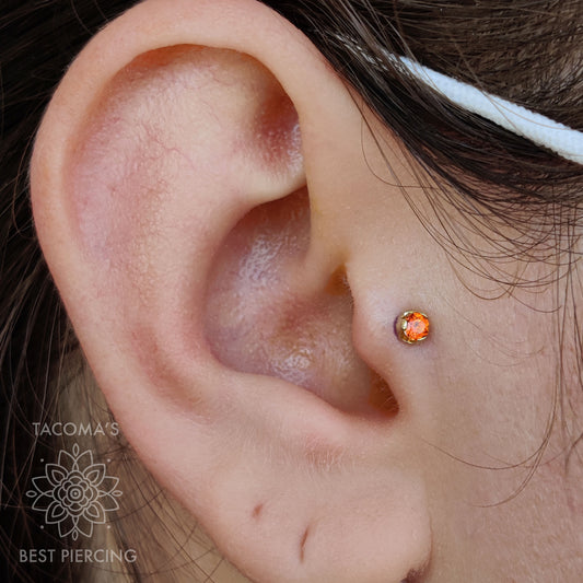 Appointment: Tragus Piercing (13-17)