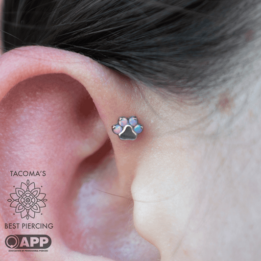 Appointment: Forward Helix (13-17 years old)