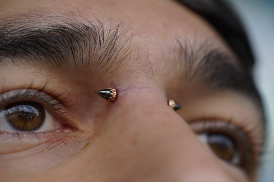 Appointment: Bridge Piercing (18+ years old)