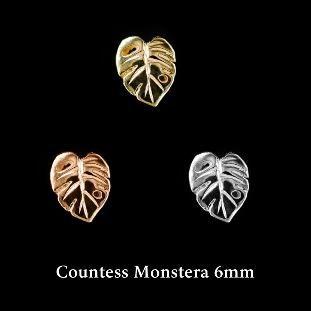 Countess Monstera