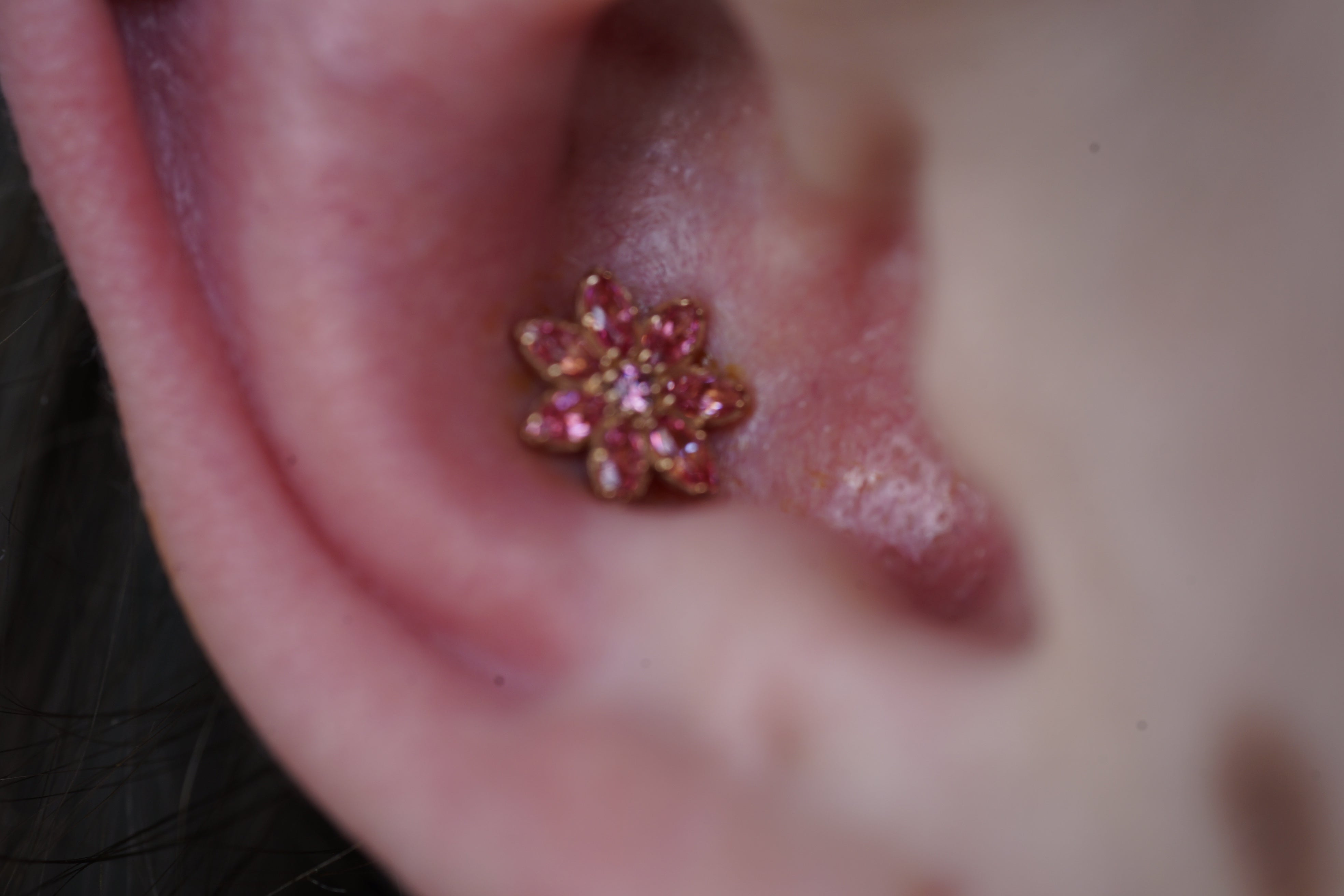 Appointment: Conch Piercing (13-17 years old)