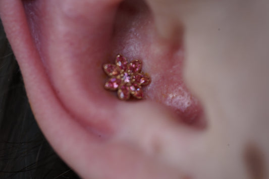 Appointment: Conch Piercing (13-17 years old)