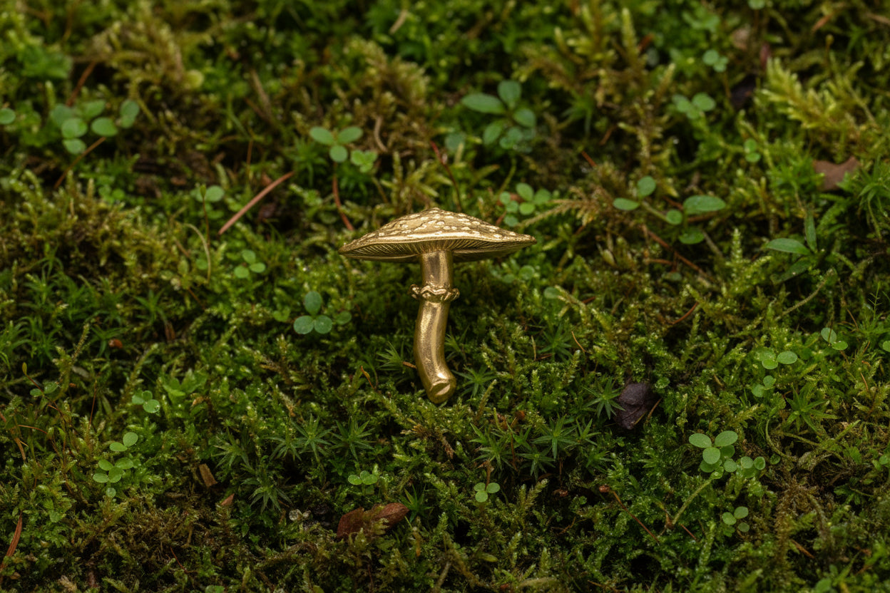 Mushroom