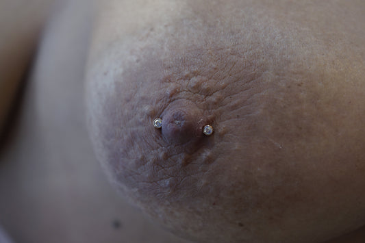 Appointment: Nipple Piercing (18+ years old)