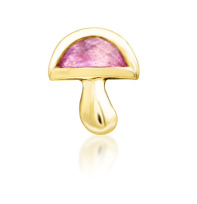 Amanita
