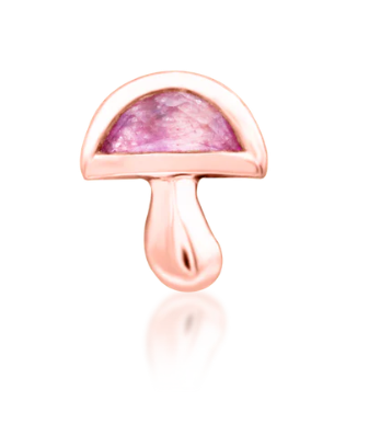 Amanita