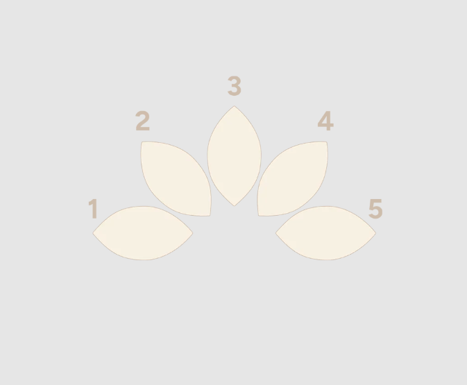 Marquise Fan 5 Mini