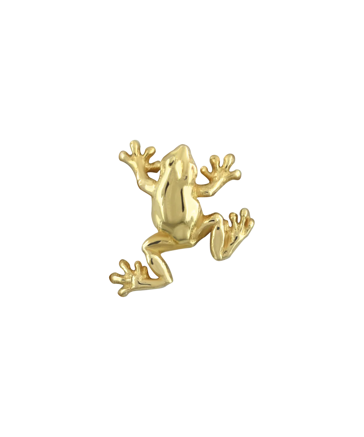 Tree Frog