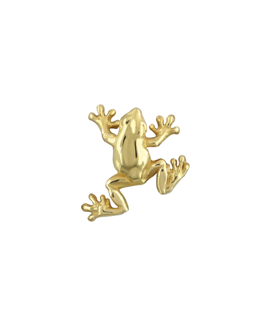 Tree Frog