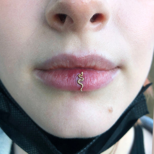 Appointment: Ashley Piercing (18+ years old)