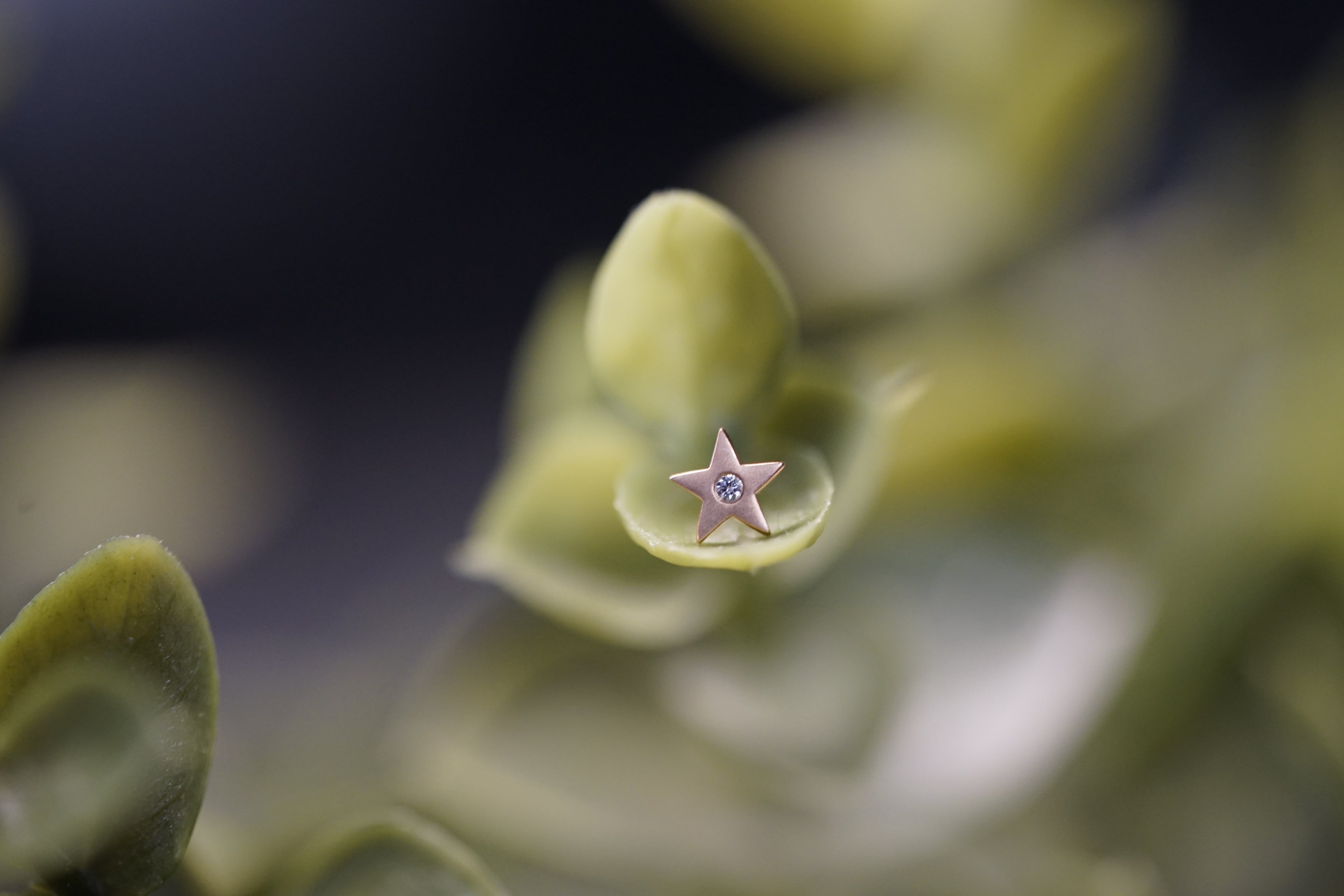 5 Point Star