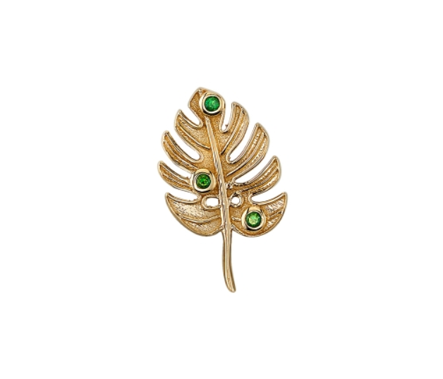 Monstera (Regalia)