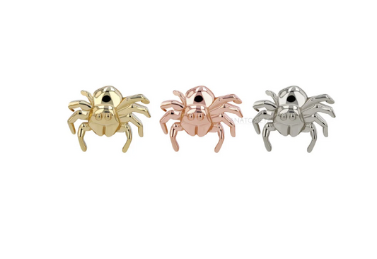 Jumping Spider