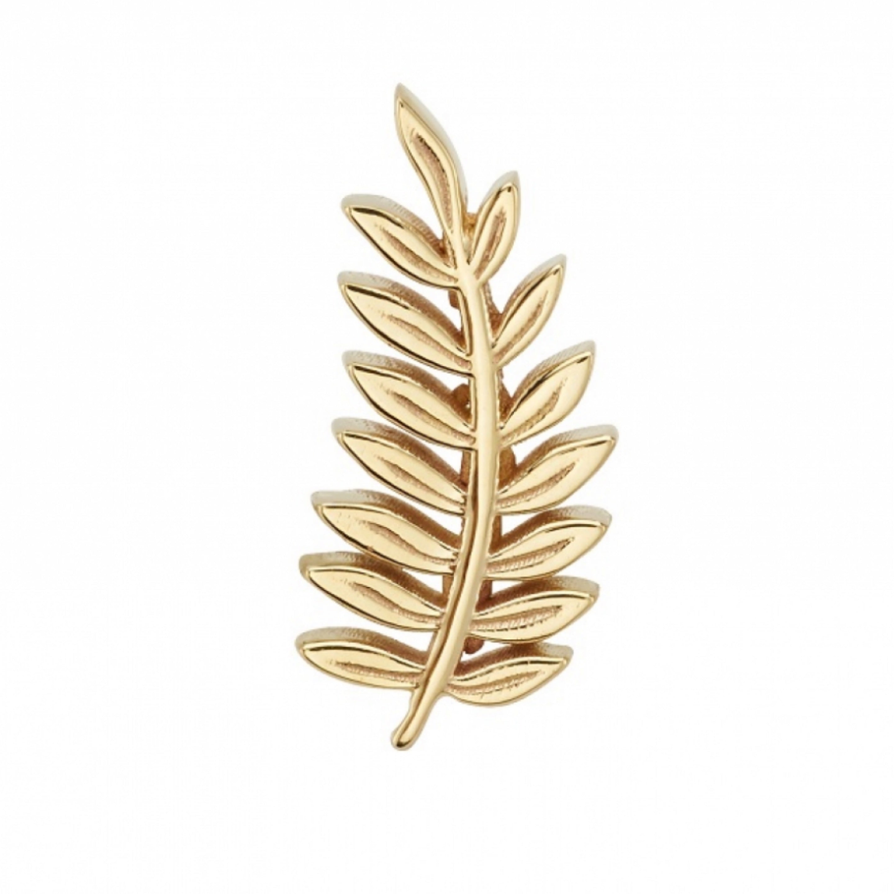 Fern
