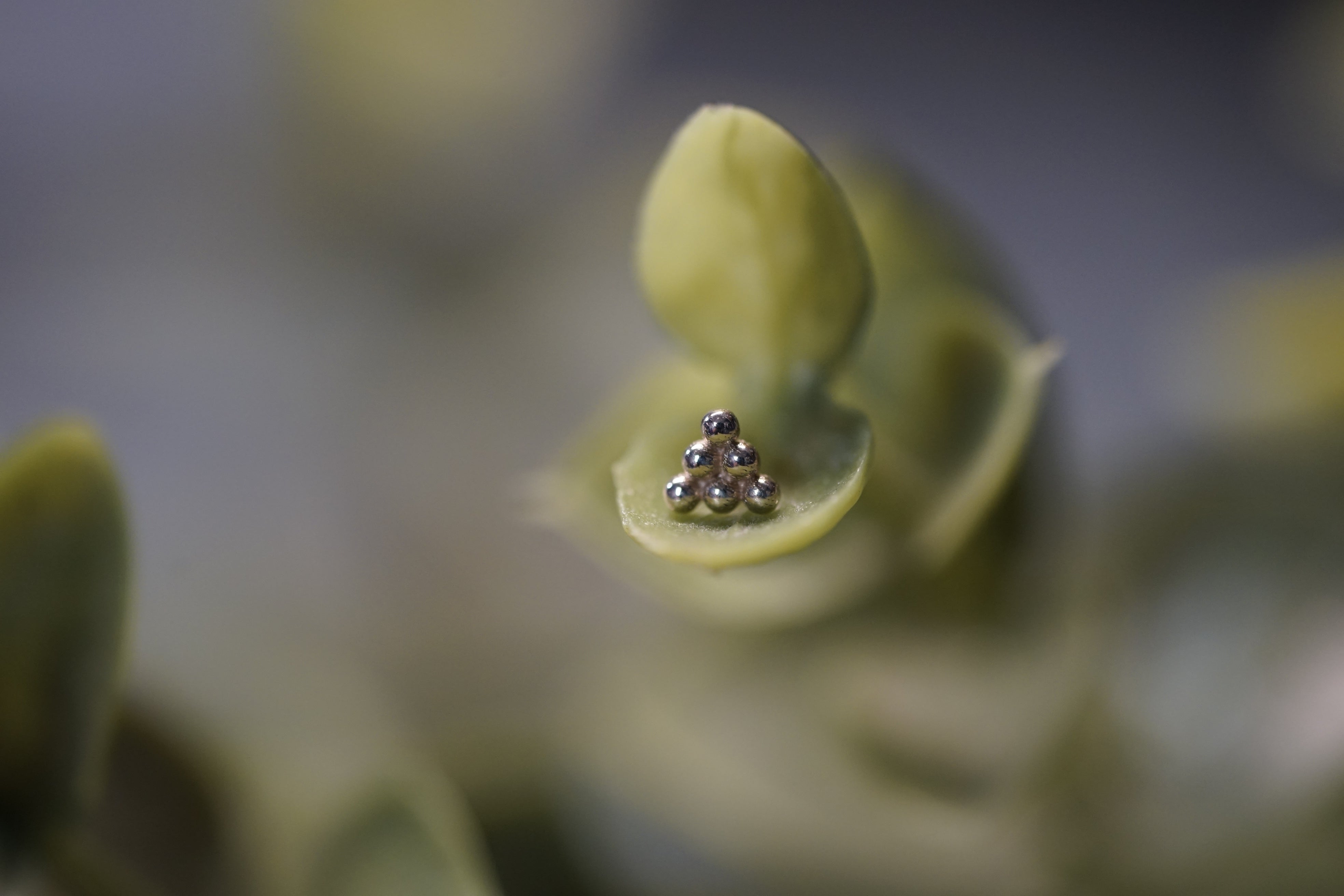 6 Beads