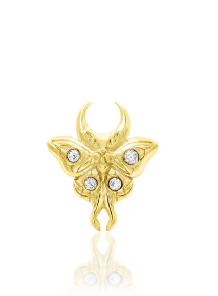 Luna Moth