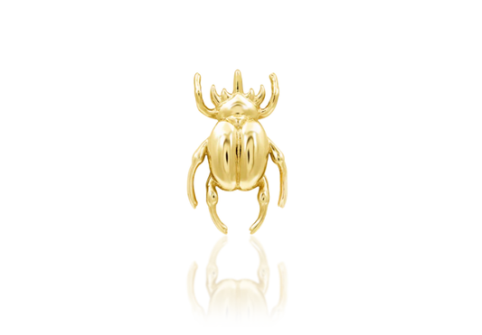 Rhino Beetle