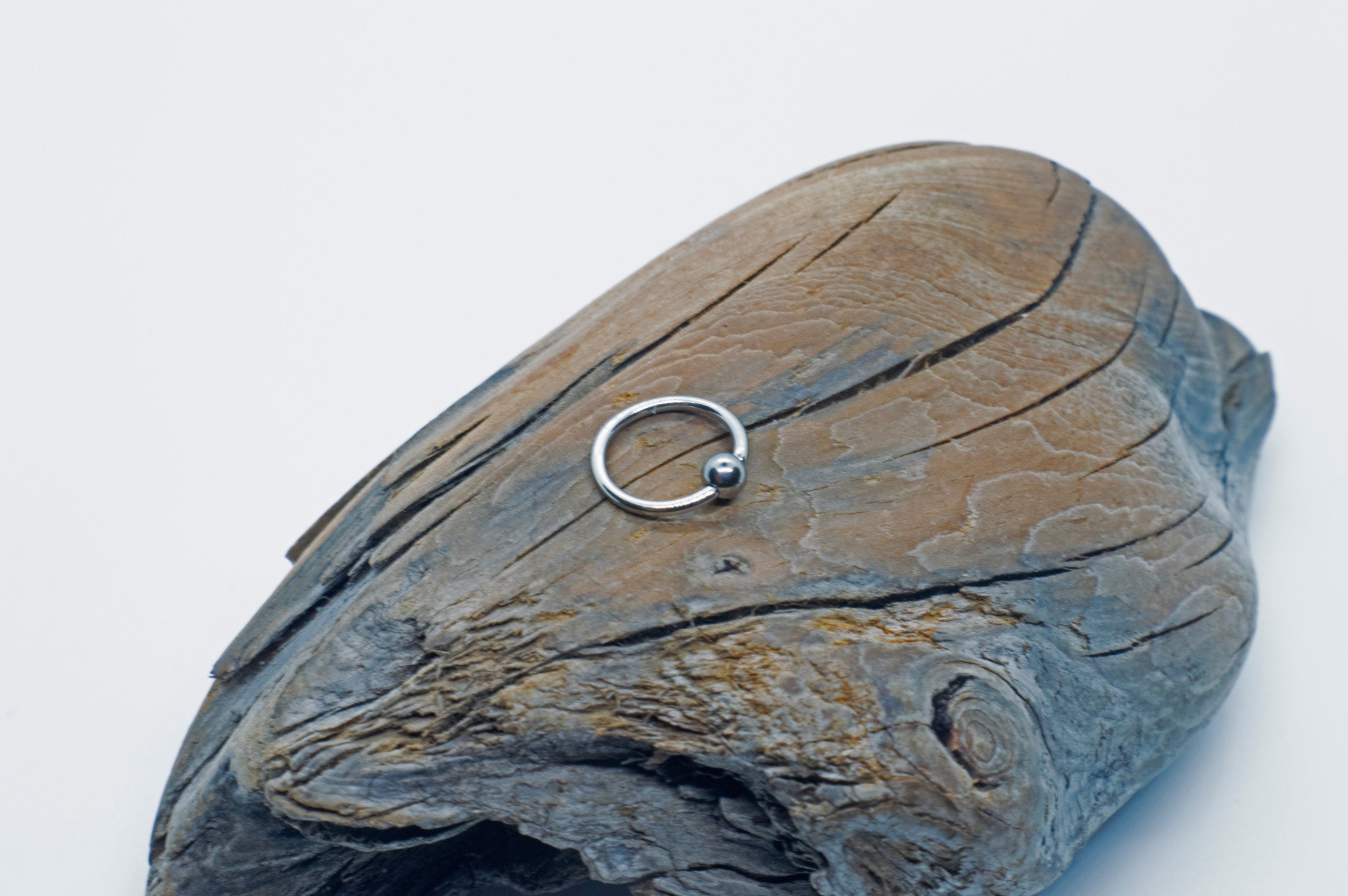 Steel Captive Bead Ring