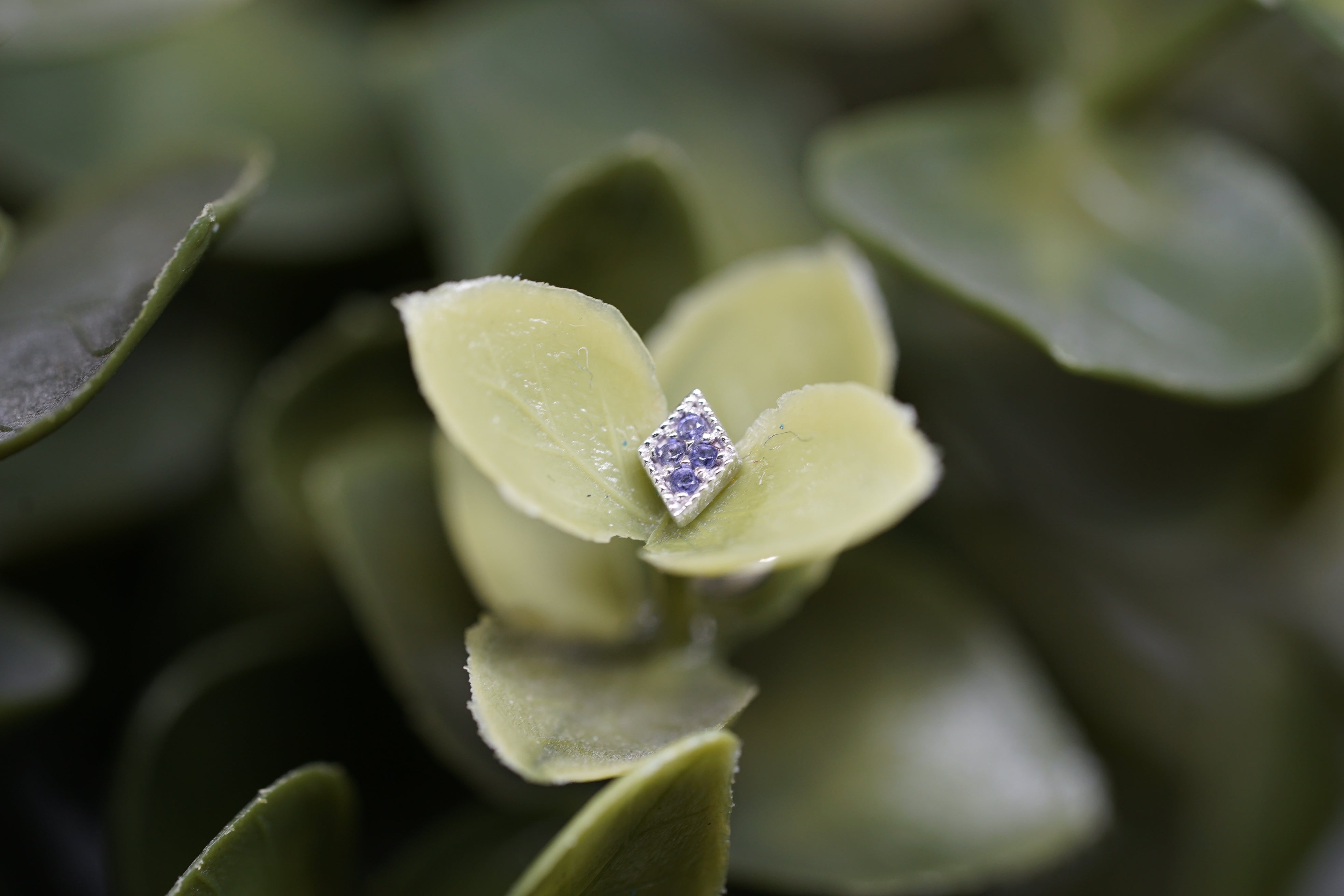 4 Gem Harlequin THR