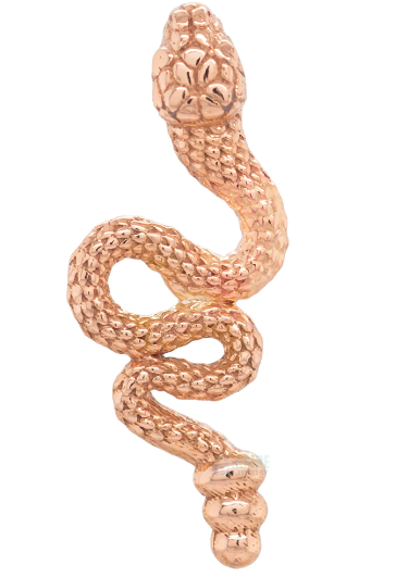 Slither Snake