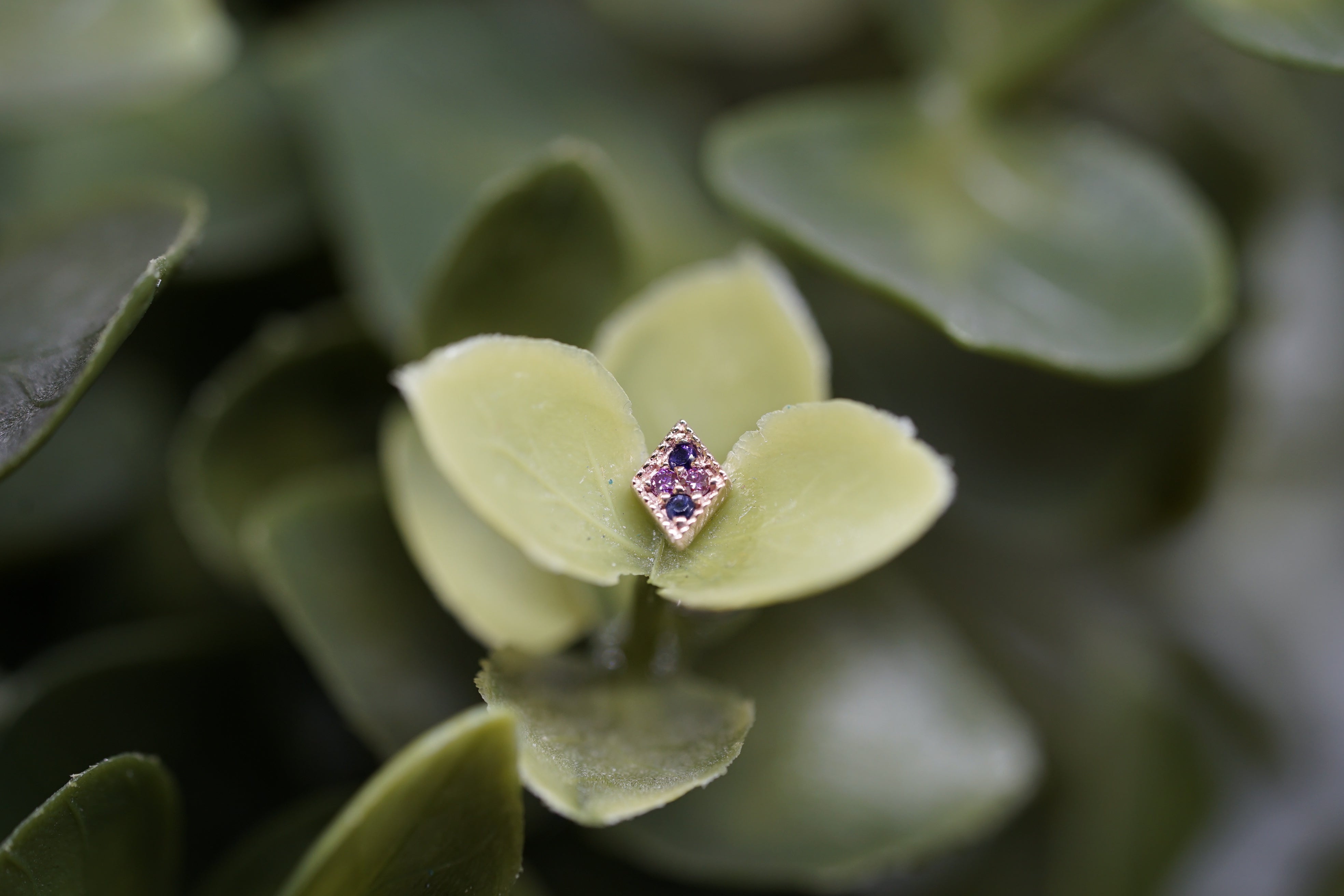 4 Gem Harlequin THR