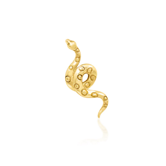 Textured Snake