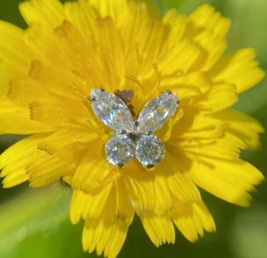 Titanium Butterfly