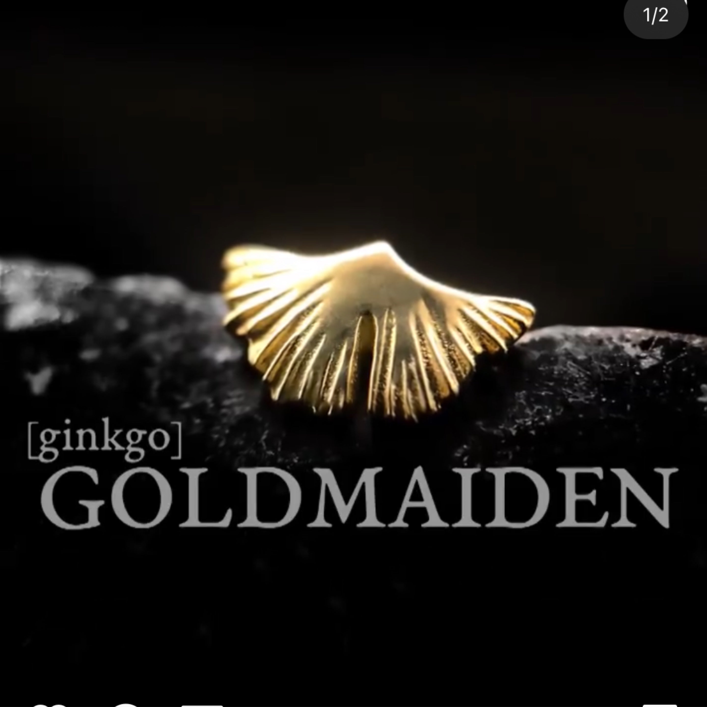Goldmaiden (Ginkgo)