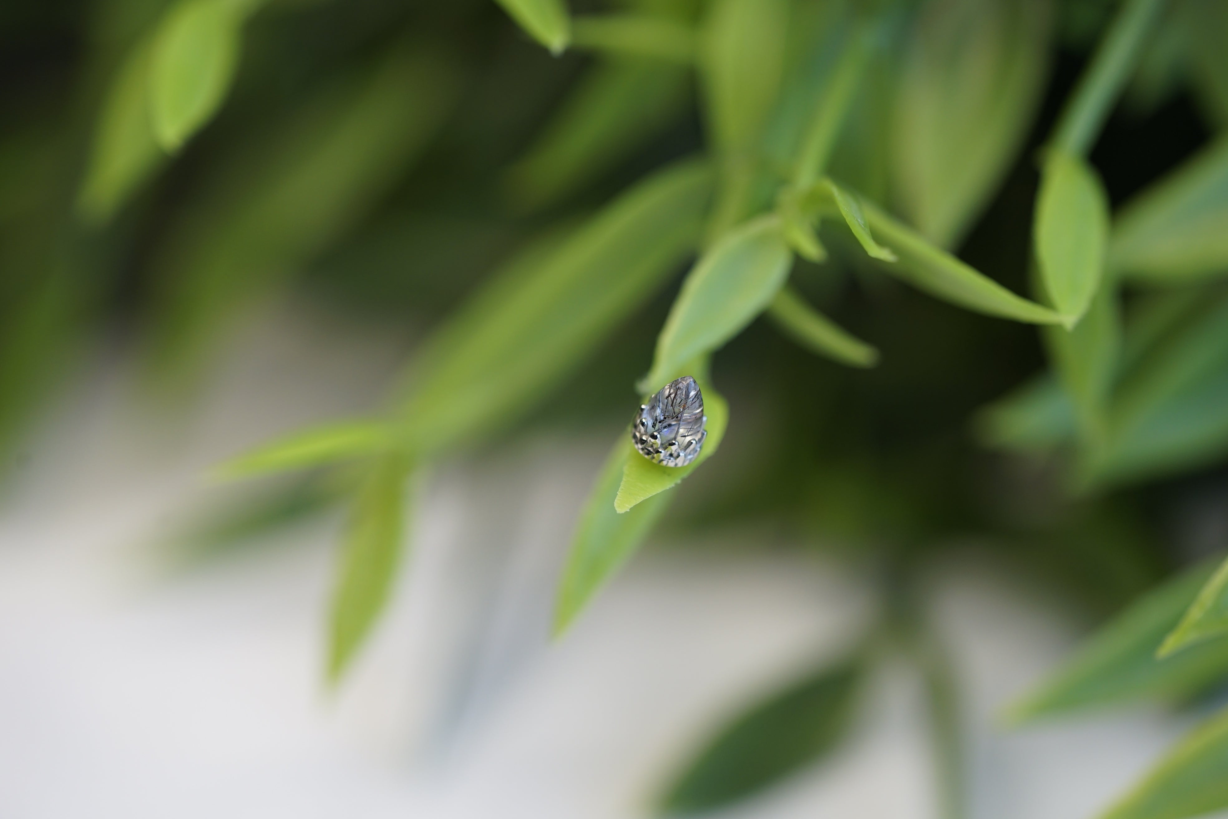 Anatometal 3mm Bullet Ends (King)