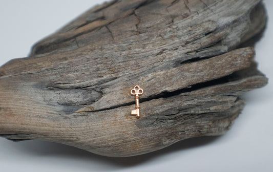 Tiny Skeleton Key
