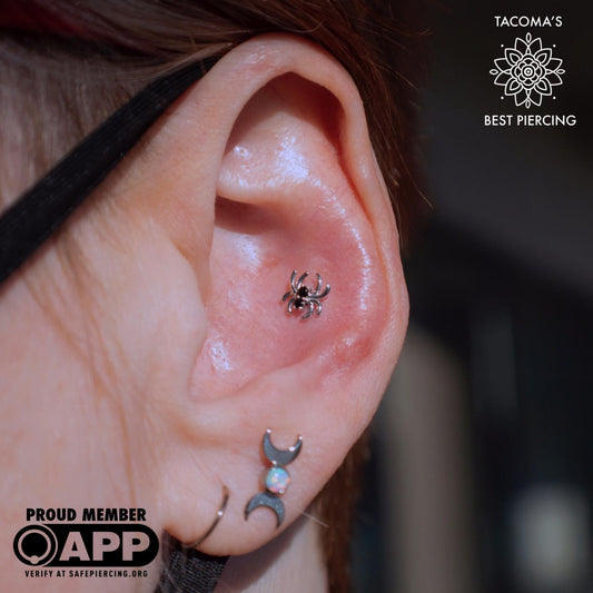 Swarovski Gem Spider
