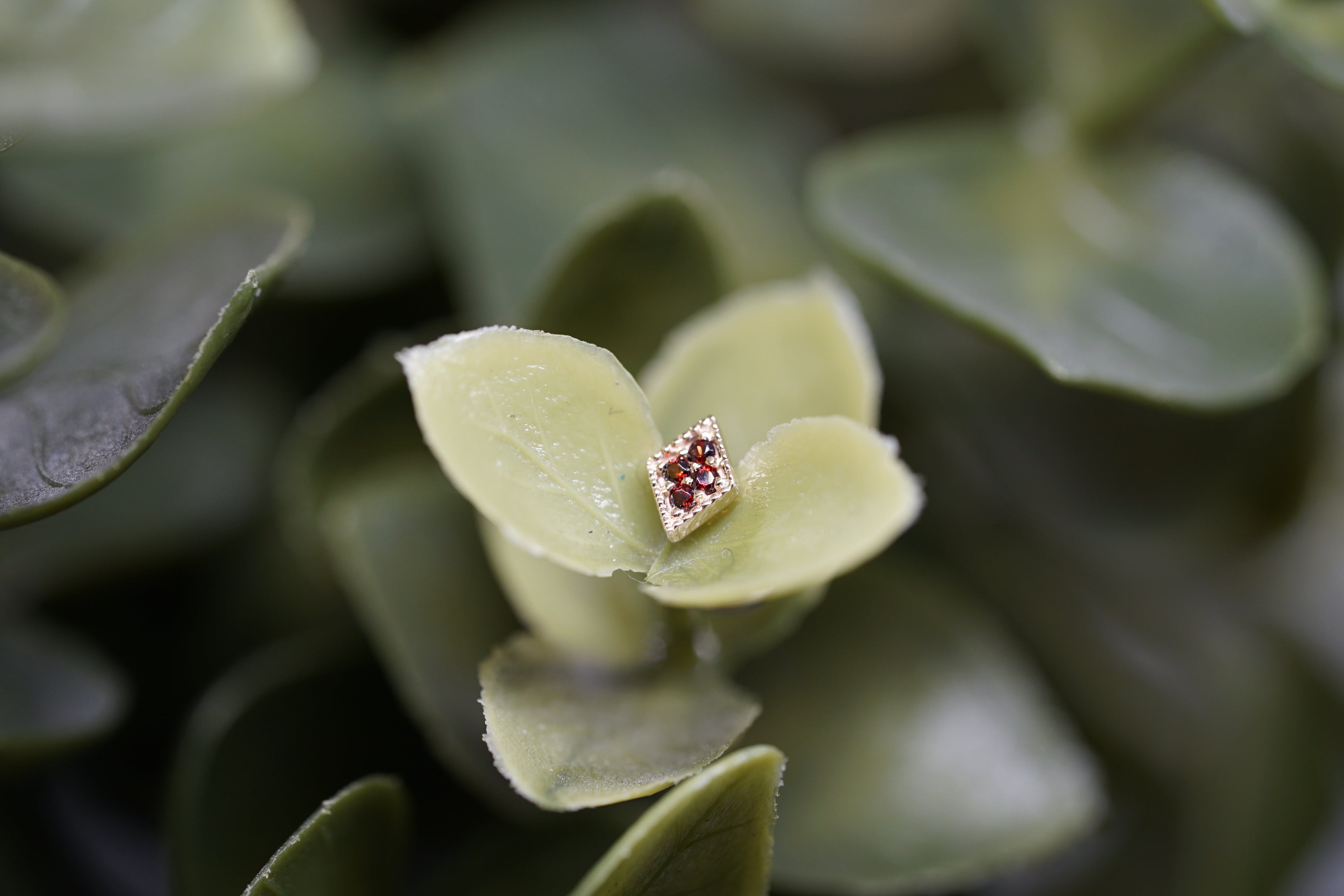 4 Gem Harlequin THR