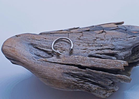 Threaded Titanium Spike