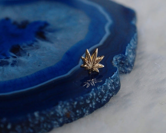 Leaf