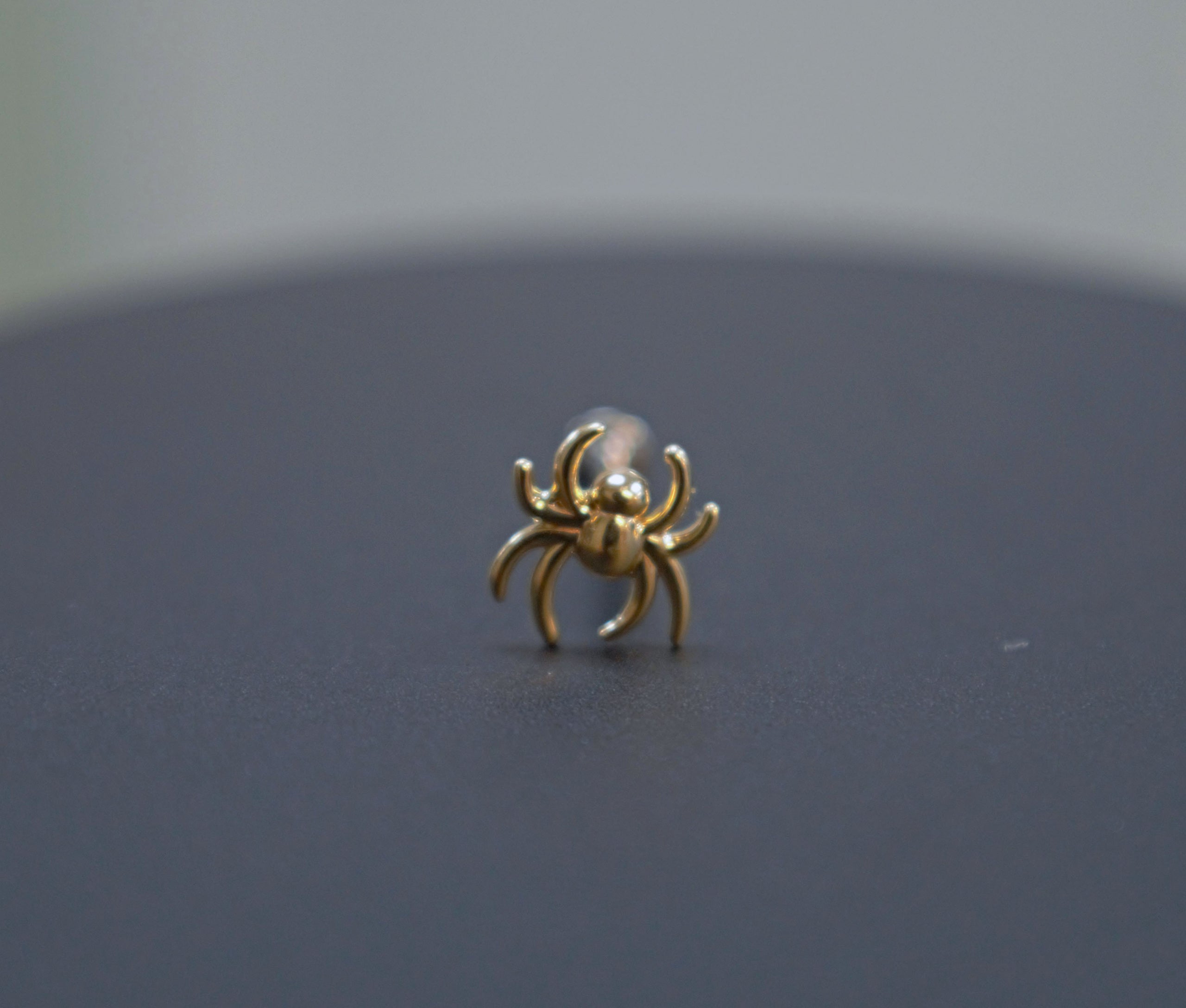 Gold Spider (Threadless)