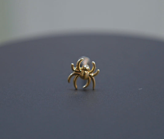 Gold Spider (Threadless)