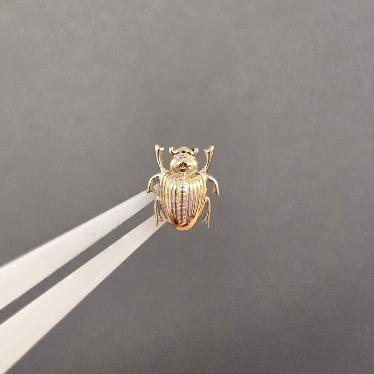 Scarab Beetle (Threaded)