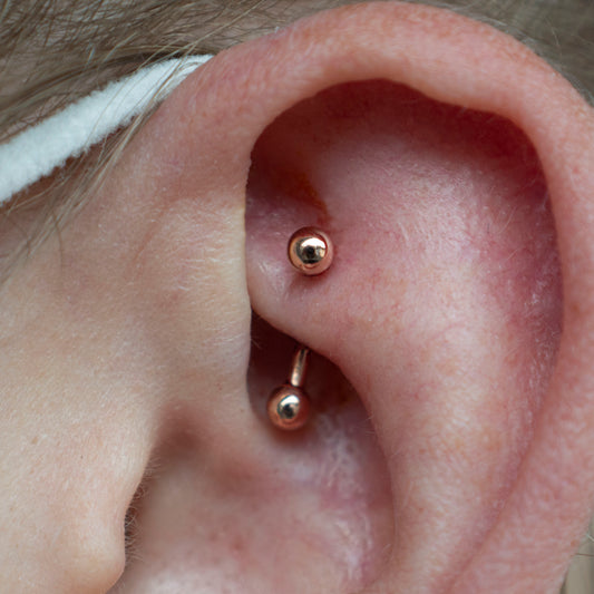 Appointment: Rook Piercing (13-17 years old)